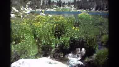 British Columbia USA (1981): Beautiful Hill-Station Is Showing Her Beauty Around