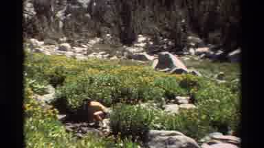 British Columbia USA (1981): Man Half Naked In The Nature By A Small River