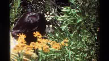 British Columbia USA (1981): People And Flowers