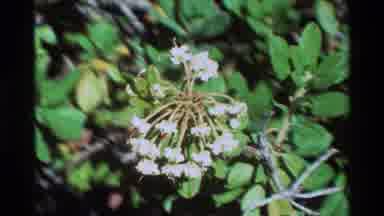 British Columbia USA (1981): Nature Beauty Never Cease To Amaze The Human Eye