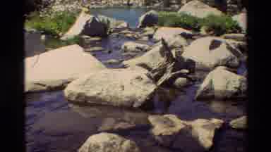 British Columbia USA (1981): Serene Scene From A River In The Middle Of A Forest