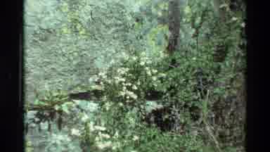 British Columbia USA (1981): Hiking In Nature