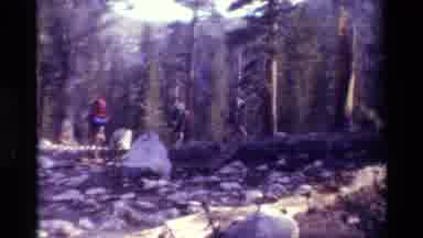 British Columbia USA (1981): Four Backpackers Walking Up The Hill In A Forest On A