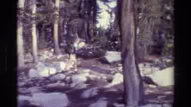 British Columbia USA (1981): Forest Trail: Walking And Learning More About The
