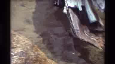 British Columbia USA (1981): Frog Swimming In Clear Body Of Water In Beautiful