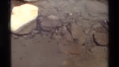 British Columbia USA (1981): Tadpoles Swimming In A Lake With Large Mountains In