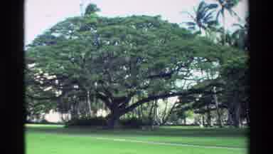 Hawaii USA (1981): Originally Designed As A Palace Revolutionary The Building