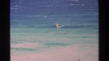 Hawaii USA (1981): City By The Sea