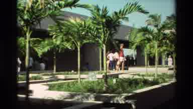 Hawaii USA (1981): People By A Pool At A Resort Or Tropical Location Standing And