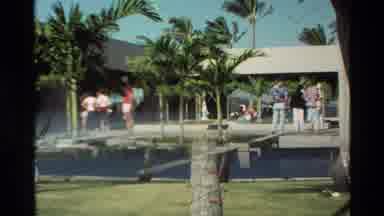 Hawaii USA (1981): Wind Blowing The Trees In A Sunny Breezy Day