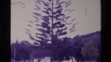 New Zealand (1981): Going To School