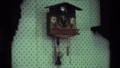 New Zealand (1981): Three Wooden Clocks On Indoor Display