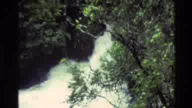 New Zealand-1981: Beautiful Waterfall In The Middle Of A Forest