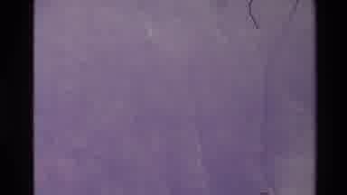 New Zealand (1981): A Camera Scaling Down Wall