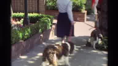 Carmel California USA (1982): Lady With Her Two Dogs Walking On The Street