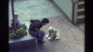 Carmel California USA (1982): Dog Playing With A Man In The Square And He Looks