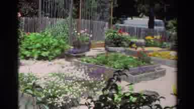Carmel California USA (1982): Beautiful Garden And Scenery On A Busy Street