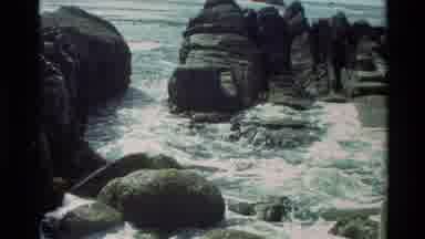 Carmel California USA (1982): Geese Swimming In The Water Surrounded By Rocks