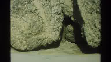 Carmel California USA (1982): Somewhat Old Video Showing Rocks Plants And Other