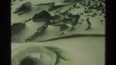 Carmel California USA (1982): Sand Covered Beach With Various Formations