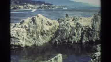 Carmel California USA-1982: Rocky Shores Ocean Waves Seagull Perched on Rocks