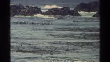 Carmel California USA (1982): Waves Seen Breaking In The Background With Material