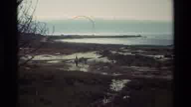 Carmel California USA (1982): Two People Walking Landscape Beach Trees Sea Cold