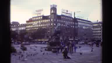 Denmark (1982): Birds In City
