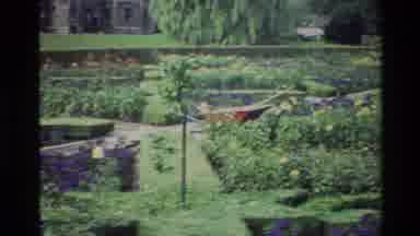 Denmark (1982): Panning Video Of People Working In A Community Garden