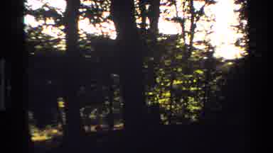 Denmark (1982): Man Jogging In A Forest Park With Trees
