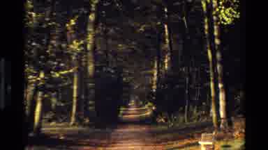 Denmark (1982): Nature Being Around All Existence Including And In A Human