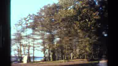 Denmark (1982): The Views Of The Trees And The Views Of The Water Beautiful Water