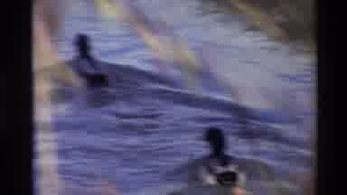 Sacramento California USA (1982): Wildlife In Water