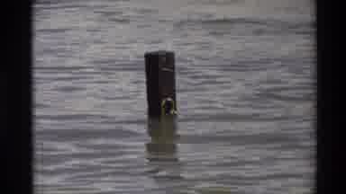 Sacramento California USA (1982): A Young Boy Skipping Rocks From The Shore Toward
