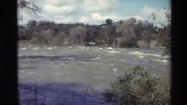 Sacramento California USA (1982): Fast Flowing Wide River Running Through Forest