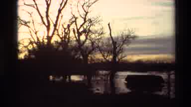 Sacramento California USA (1982): A View Of A Swamp Land