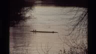 Sacramento California USA (1982): Water Lake Tree Branches Day Birds Cloud Sky