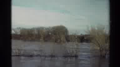 Sacramento California USA (1982): Camera Zooming In On Some Trees In The Middle Of