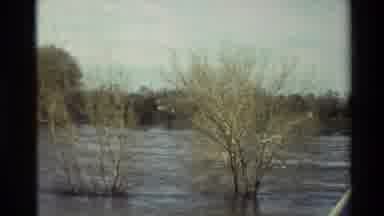 Sacramento California USA (1982): A River Runs Through Several Small Trees And The