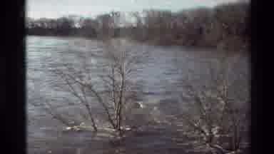 Sacramento California USA (1982): Strong Flood Waters Flow Over The Tops Of Trees