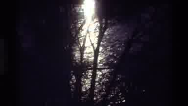 Sacramento California USA (1982): Deep In The Scary Woods Ran A Mysterious Winding