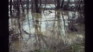 Sacramento California USA (1982): Epic Flood Of The Local Forests