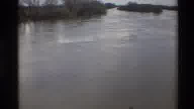Sacramento California USA (1982): Watching A Slow Moving River That Has A Tree