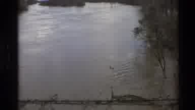 Sacramento California USA (1982): Area Full Of Big Trees Is Seeming To Be Flooded