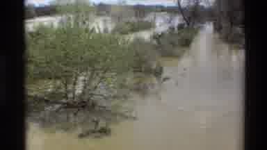 Sacramento California USA (1982): The Water Is Flowing High Into The Trees After