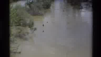 Sacramento California USA (1982): Some Objects Floating Around In Swift Running