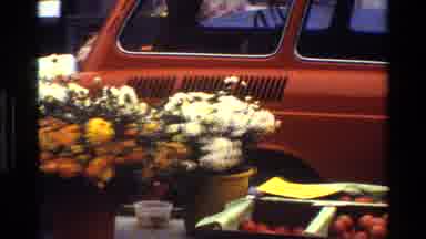 Denmark (1983): Flowers And Many Beautiful Plants Sitting On The Street Ready For