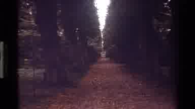 Denmark (1983): Exploring A Castle And Nearby Forest While On Vacation In Foreign