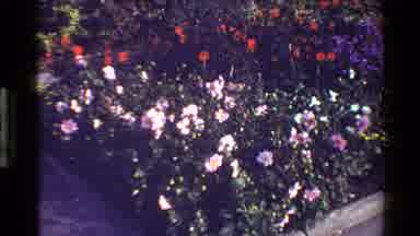 Denmark (1983): Beautiful Flowers And Water Fountain The Joys Of Earth