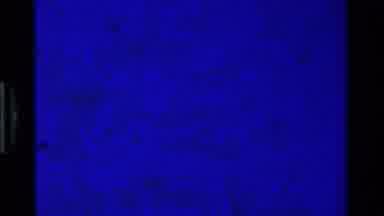 California USA (1975): Blue Static Fades To Reveal A Cross Hanging On A Wall